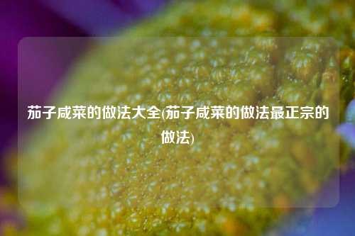 茄子咸菜的做法大全(茄子咸菜的做法最正宗的做法)