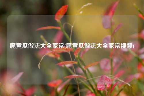 腌黄瓜做法大全家常(腌黄瓜做法大全家常视频)