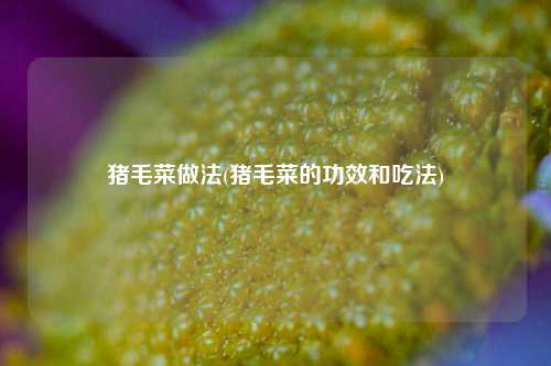 猪毛菜做法(猪毛菜的功效和吃法)