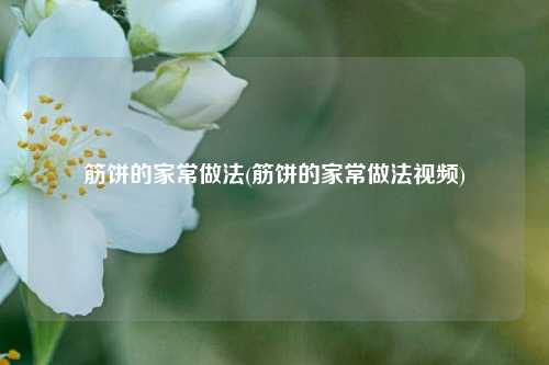 筋饼的家常做法(筋饼的家常做法视频)