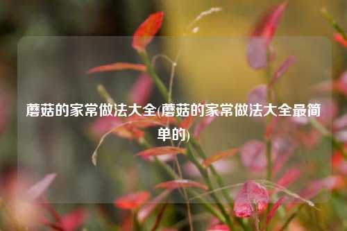 蘑菇的家常做法大全(蘑菇的家常做法大全最简单的)