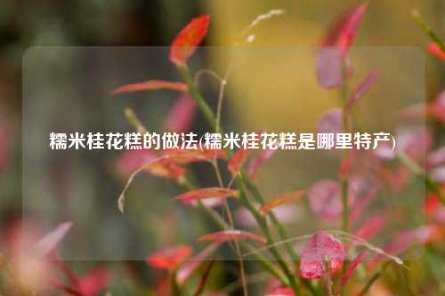 糯米桂花糕的做法(糯米桂花糕是哪里特产)