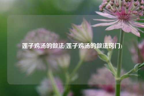 莲子鸡汤的做法(莲子鸡汤的做法窍门)