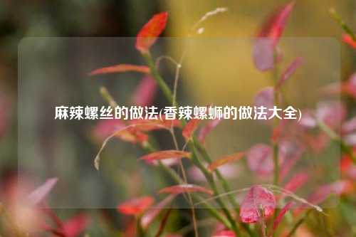麻辣螺丝的做法(香辣螺蛳的做法大全)