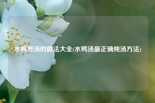 水鸭煲汤的做法大全(水鸭汤最正确炖汤方法)