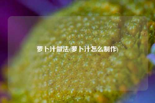 萝卜汁做法(萝卜汁怎么制作)