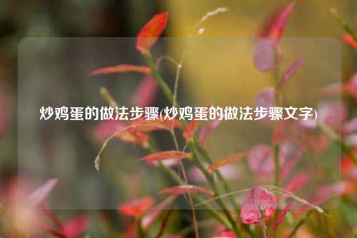 炒鸡蛋的做法步骤(炒鸡蛋的做法步骤文字)