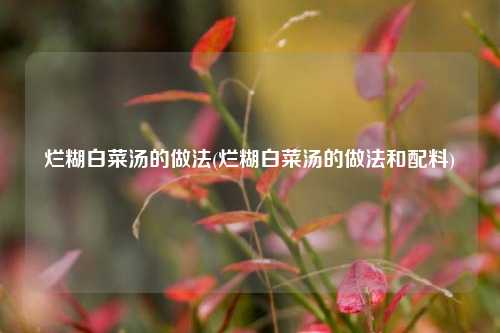 烂糊白菜汤的做法(烂糊白菜汤的做法和配料)