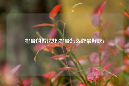 排骨的做法炸(排骨怎么炸最好吃)