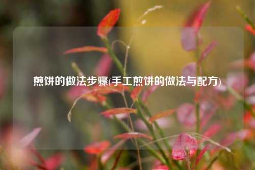 煎饼的做法步骤(手工煎饼的做法与配方)