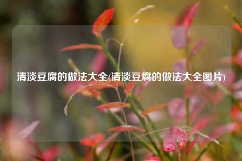 清淡豆腐的做法大全(清淡豆腐的做法大全图片)
